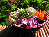 Garden Salad at Koriente Austin